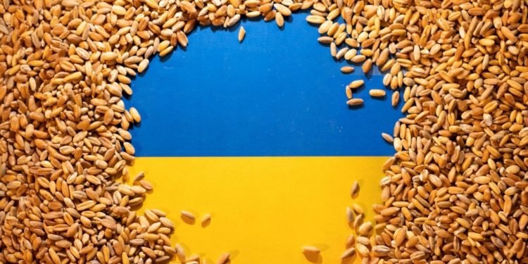 Українське зерно