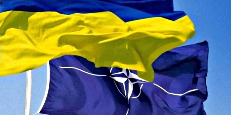 Прапори України та НАТО.