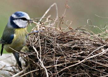 Погода в Україні.