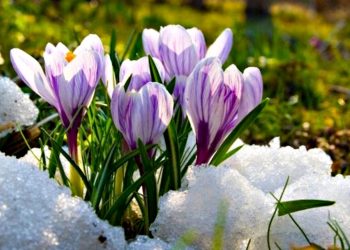 Погода в Україні.