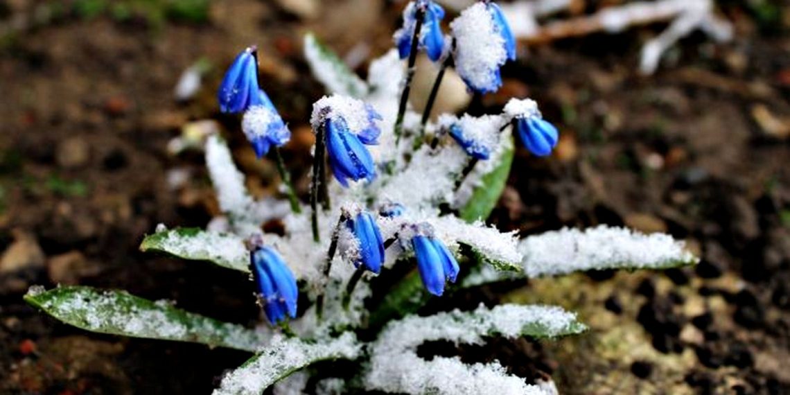 Погода в Україні.