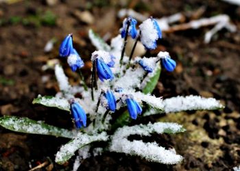 Погода в Україні.