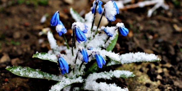 Погода в Україні.