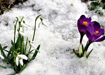Погода в Україні.