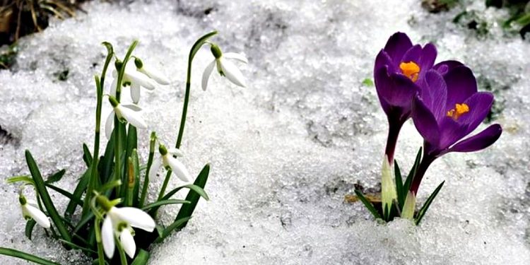 Погода в Україні.