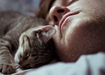 Сон з домашніми тваринами