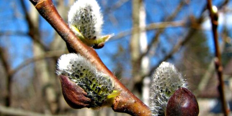 Погода в Україні.