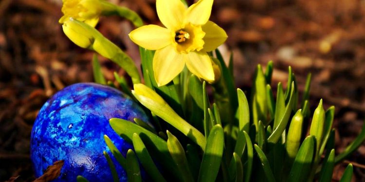 Погода в Україні.