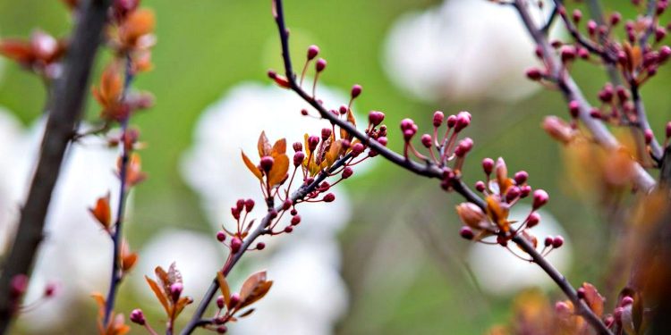 Погода в Україні.