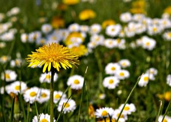 Погода в Україні.