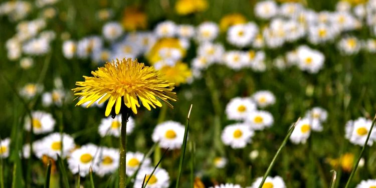 Погода в Україні.