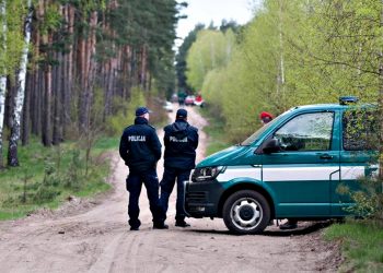 Ліс, у якому впала ракета.
