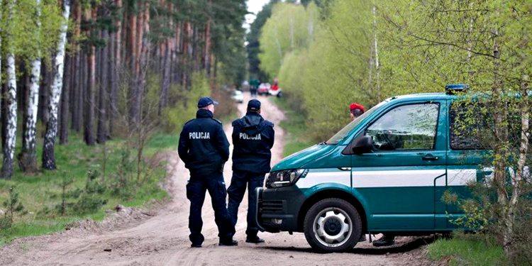 Ліс, у якому впала ракета.