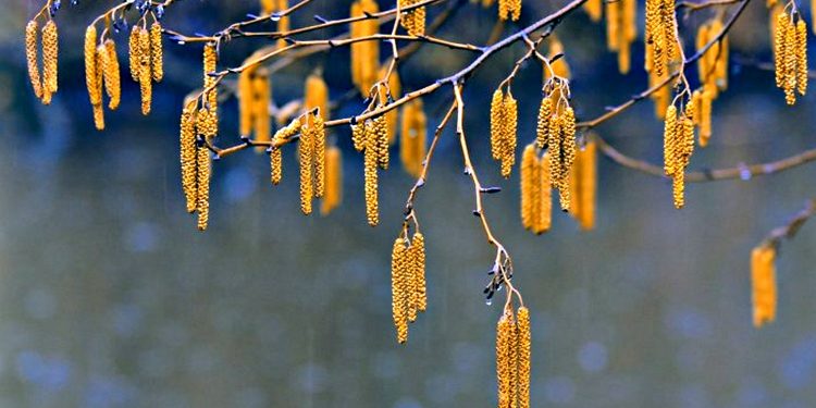 Погода в Україні.