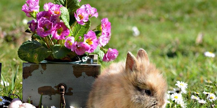 Погода в Україні.