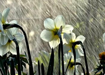 Погода в Україні.