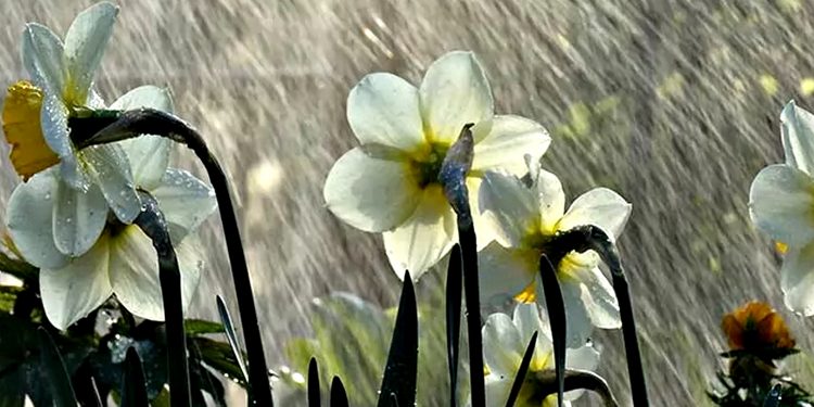 Погода в Україні.