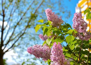 Погода в Україні.