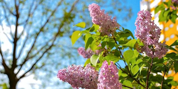 Погода в Україні.