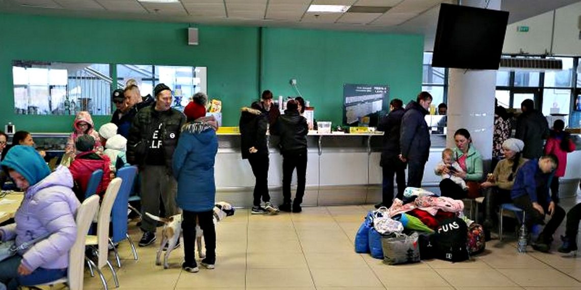 Переселенці.