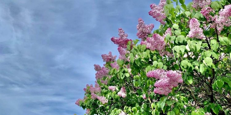 Погода в Україні.