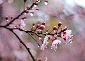 Погода в Україні.