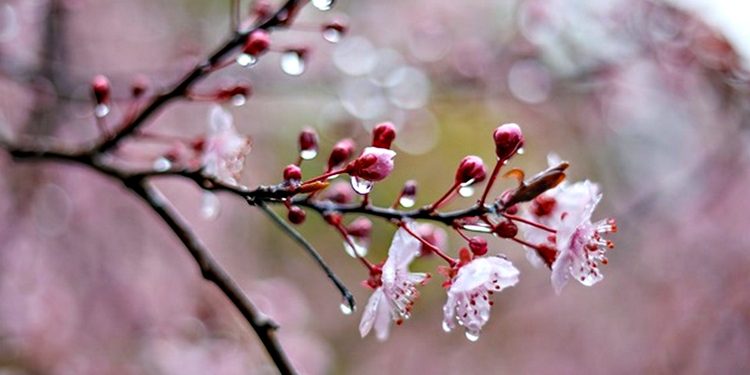 Погода в Україні.