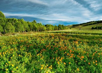 Погода в Україні.