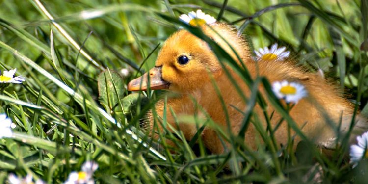 Погода в Україні.