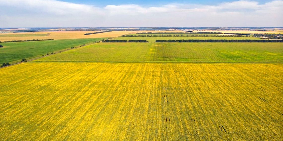 Землі України.