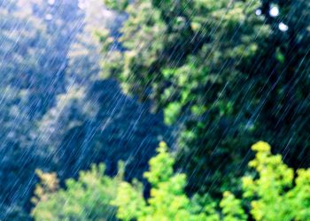 Погода в Україні.