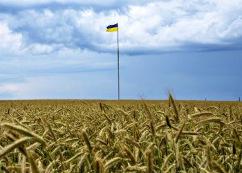 Зерно з України.