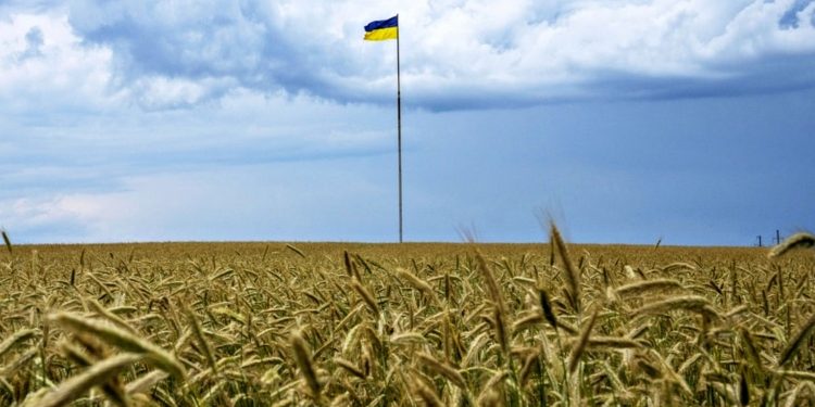 Зерно з України.