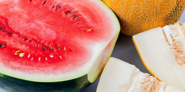 Кавуни та дині.