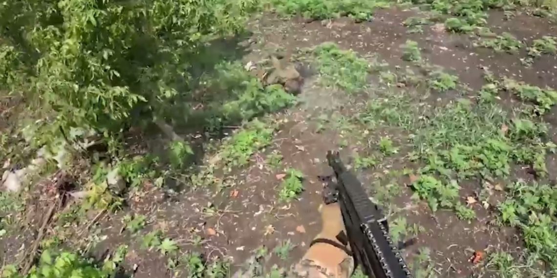 Ліквідація