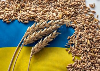 Зерно з України.