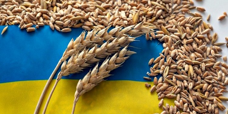 Зерно з України.