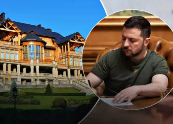 "Межигір'я".