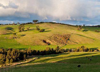 Землі України.