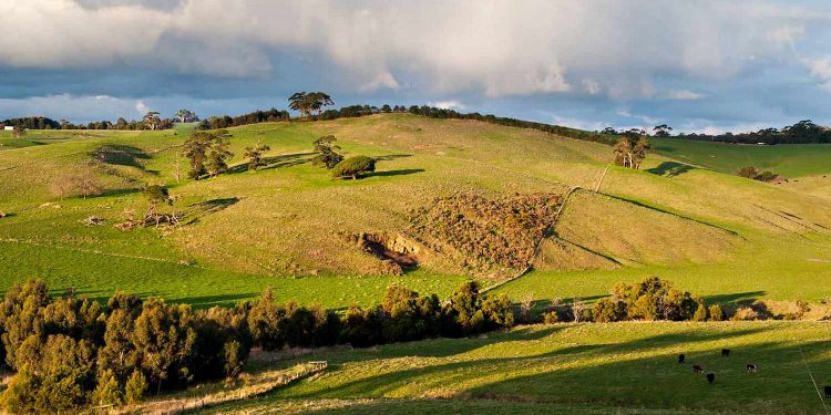 Землі України.
