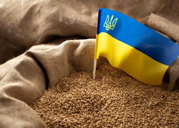 Зерно з України.