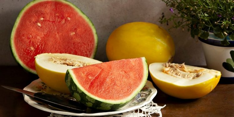 Кавуни та дині.