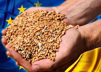 Зерно з України.