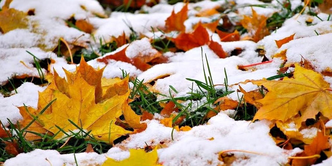 Сніг восени.