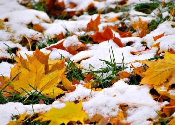 Сніг восени.