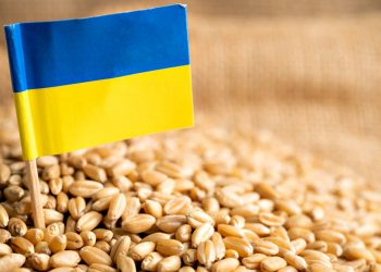 Зерно з України.