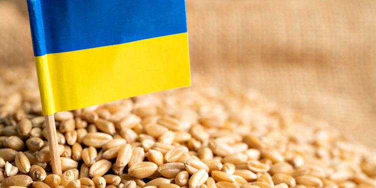 Зерно з України.