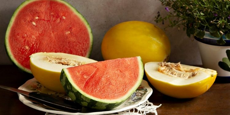 Кавуни та дині.