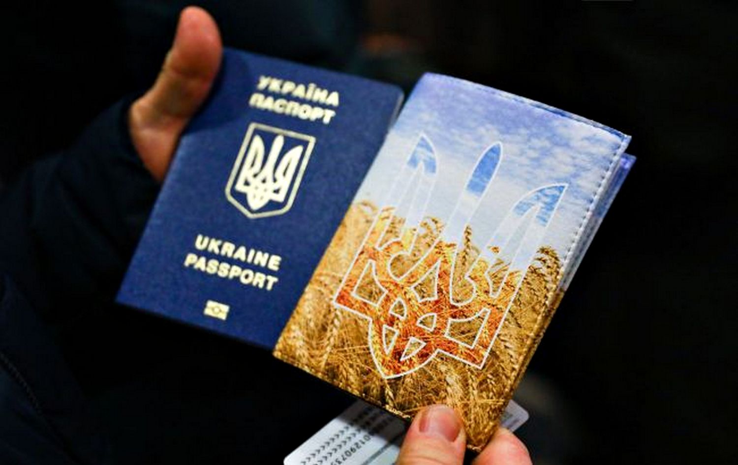 Паспорти України.