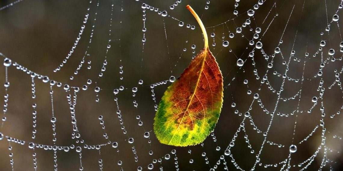 Погода в Україні.